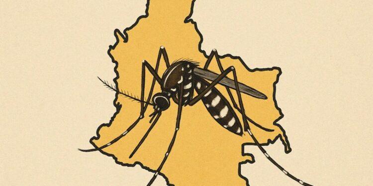 Colombia declarará emergencia sanitaria por fiebre amarilla